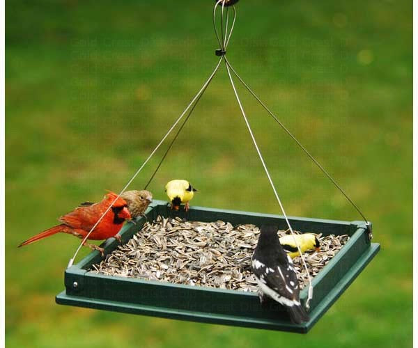 Hanging Platform Feeder image 0