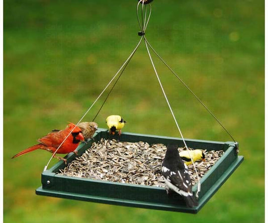 Hanging Platform Feeder image 0