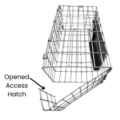 caged van ert house sparrow trap with open access
