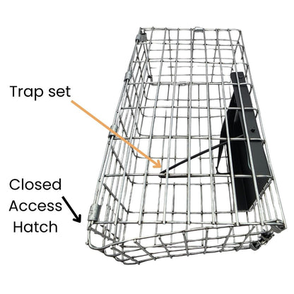 caged van ert sparrow trap with closed access