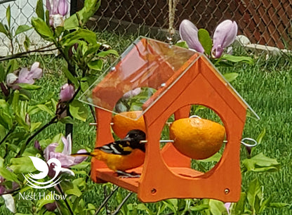 Oriole Feeder Cafe - Orange and Jelly Feeder Combo image 3