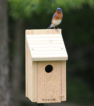 Bluebird Nest Box - Ultimate Starter Nest Box That Will Attract image 1