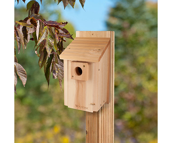 Woodlink Brand, BB3 Model Bluebird Nest Box - Roomy Starter Bluebird House image 0