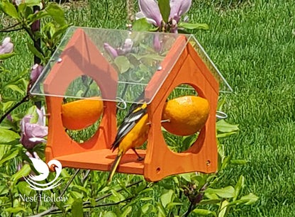 Oriole Feeder Cafe - Orange and Jelly Feeder Combo image 6
