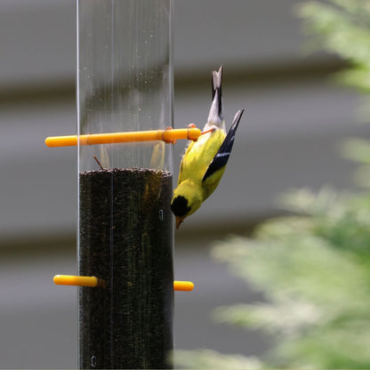 Tails Up Upside Down Goldfinch Feeder - Keep House Sparrows Out!