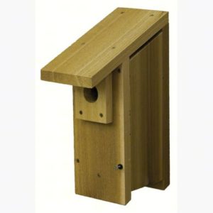 BlueBird Nest Box