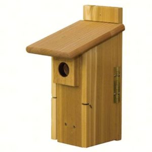 Ultimate Bluebird House with Viewing Window