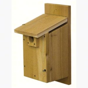 Western bluebird house