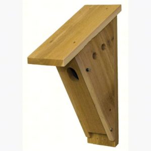 Peterson bluebird nest box house