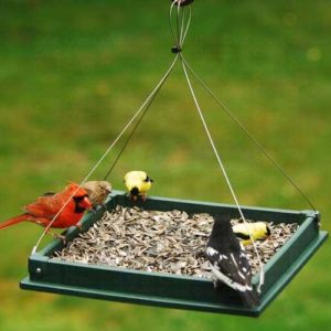 Hanging Platform Feeder