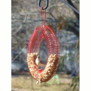peanut wreath feeders ideal for blue jays, titmice, chickadees, and woodpeckers