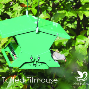 Double-Sided Squirrel Resistant Feeder