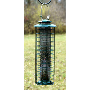 Sunflower Bird feeder - squirrel and Starling Resistant