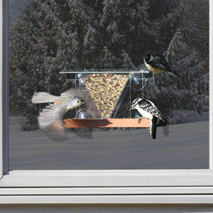 Window bird feeder - 2.5 cups