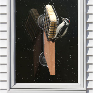 window suet feeder with tail prop