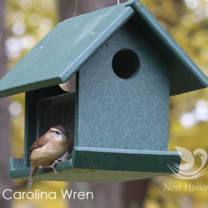 carolina wren using a covered recycled plastic mealworm feeder