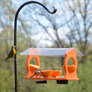 Nest Hollow Large Oriole Feeder