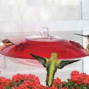droll yankee window hummingbird feeder