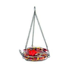 Lovely Glass Hummingbird Feeder - Red