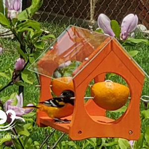 Oriole café feeder orange and jelly